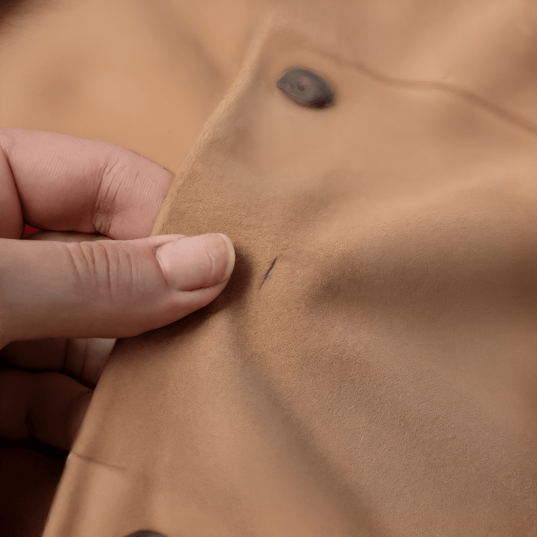 Conjunto Feminino CarmenGramora | Luxury Ladies Clothing